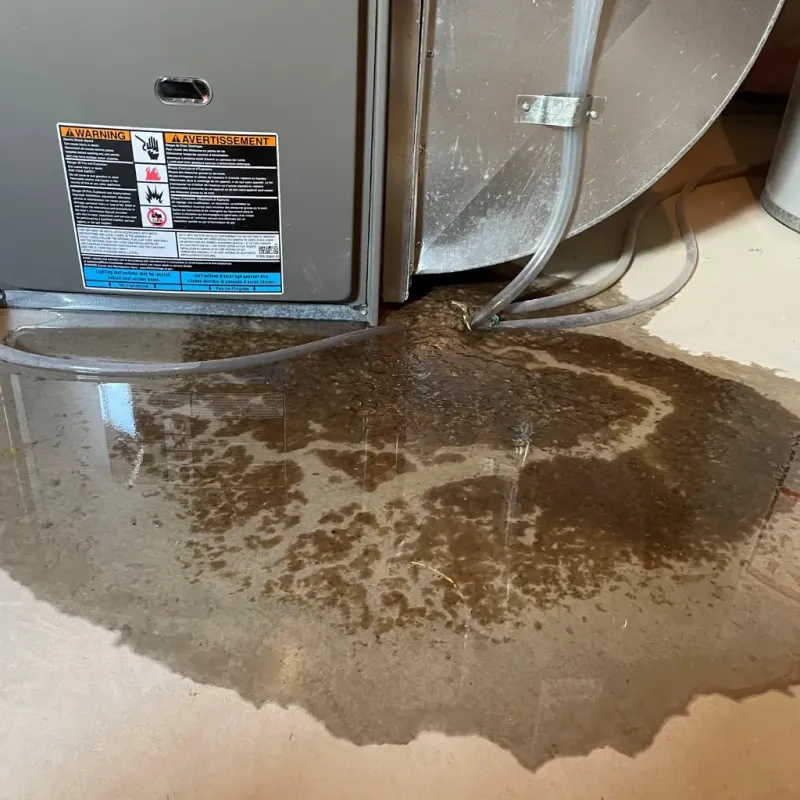 Appliance Leak Cleanup in Kaanapali, HI
