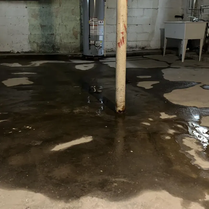 Emergency Water Extraction And Removal in Kaanapali, HI